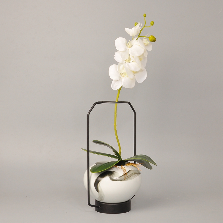 蝴蝶蘭插花藝術：簡約清新創(chuàng)意鐵藝插花