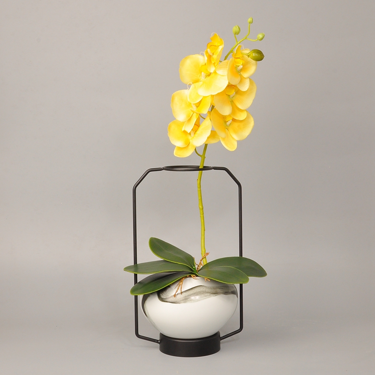 蝴蝶蘭插花藝術：簡約清新創(chuàng)意鐵藝插花