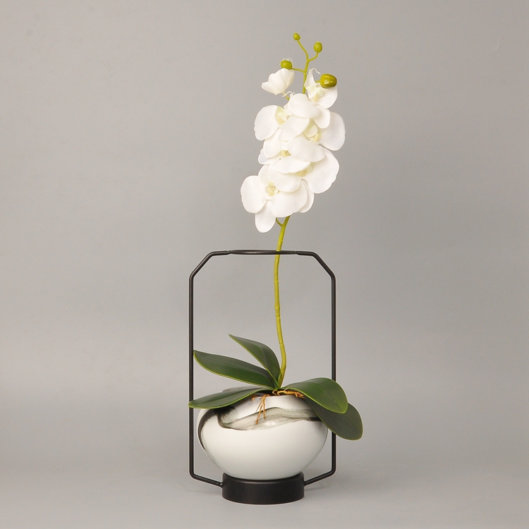 蝴蝶蘭插花藝術：簡約清新創(chuàng)意鐵藝插花