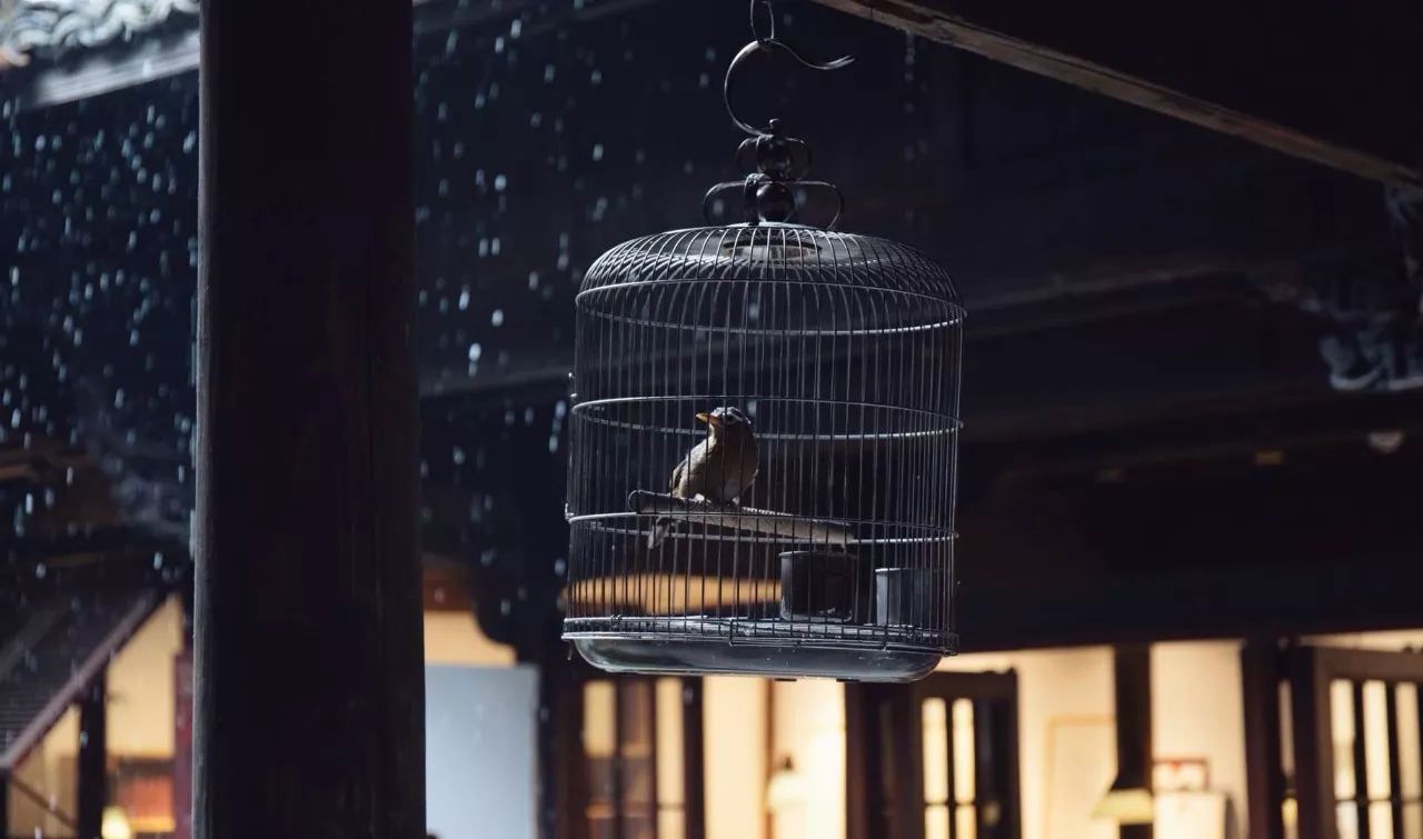 松陽·蔦舍，江南秘境里最溫暖的落腳處