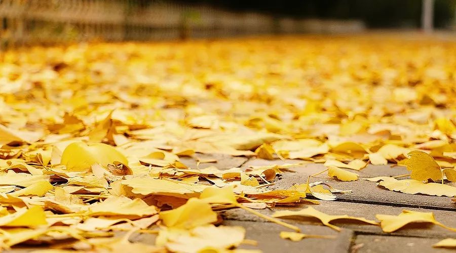 松陽(yáng)·蔦舍，江南秘境里最溫暖的落腳處