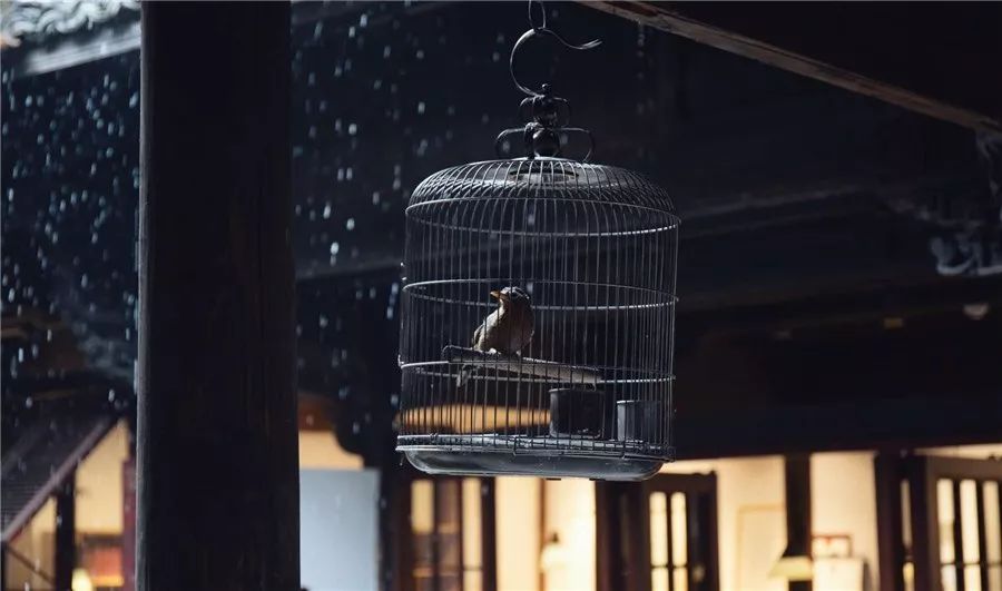 松陽(yáng)·蔦舍，江南秘境里最溫暖的落腳處