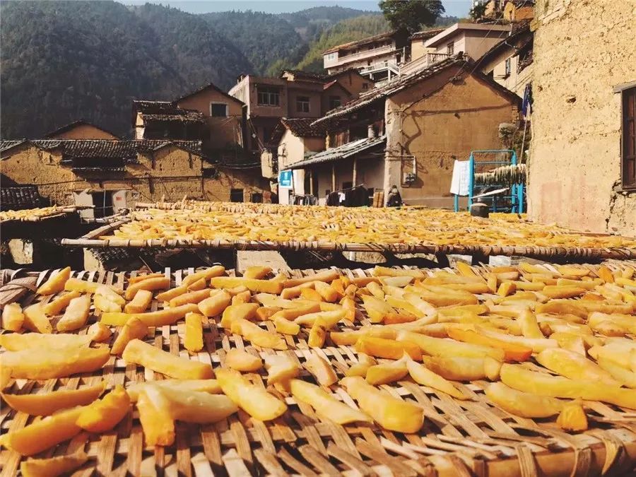 松陽·蔦舍，江南秘境里最溫暖的落腳處