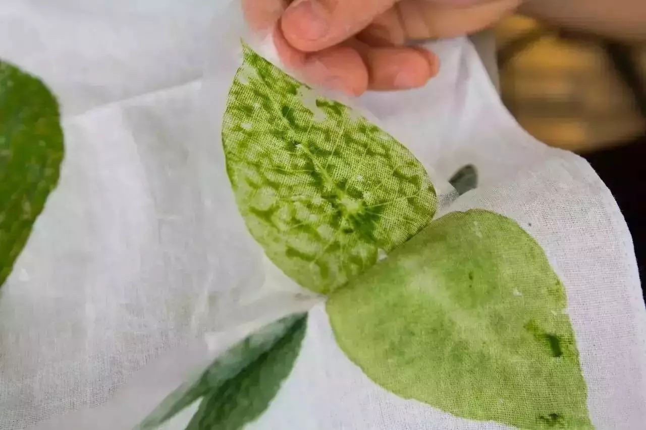 松陽·蔦舍，江南秘境里最溫暖的落腳處