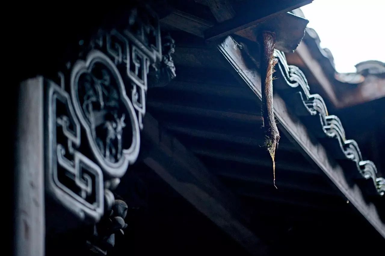 松陽·蔦舍，江南秘境里最溫暖的落腳處