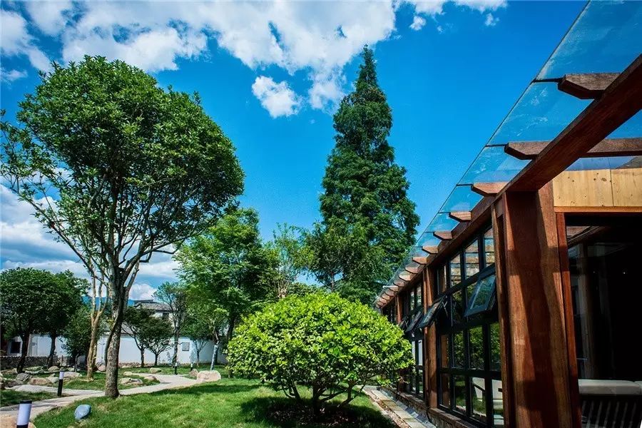 松陽·蔦舍，江南秘境里最溫暖的落腳處