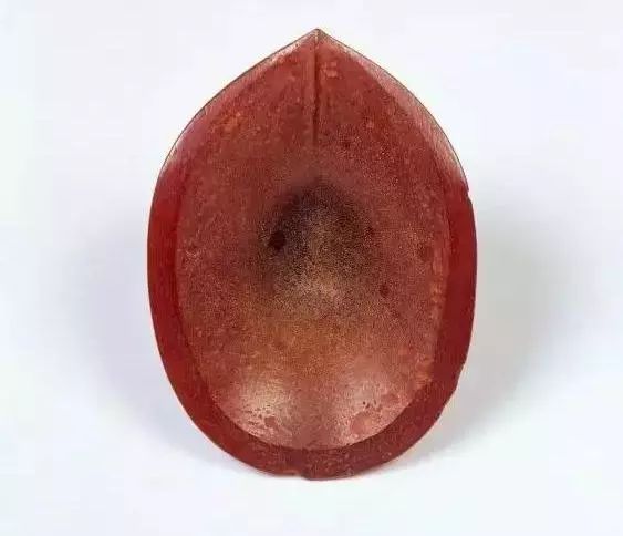 古代樂(lè)器：大唐盛世藏著豐富的大唐珍寶！