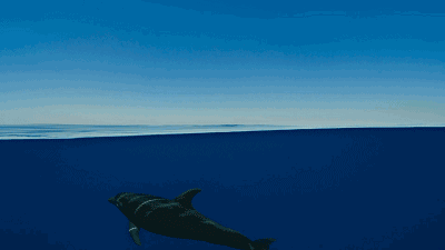 青島·棲瀾海居，在美麗的海濱城市播下詩的種子