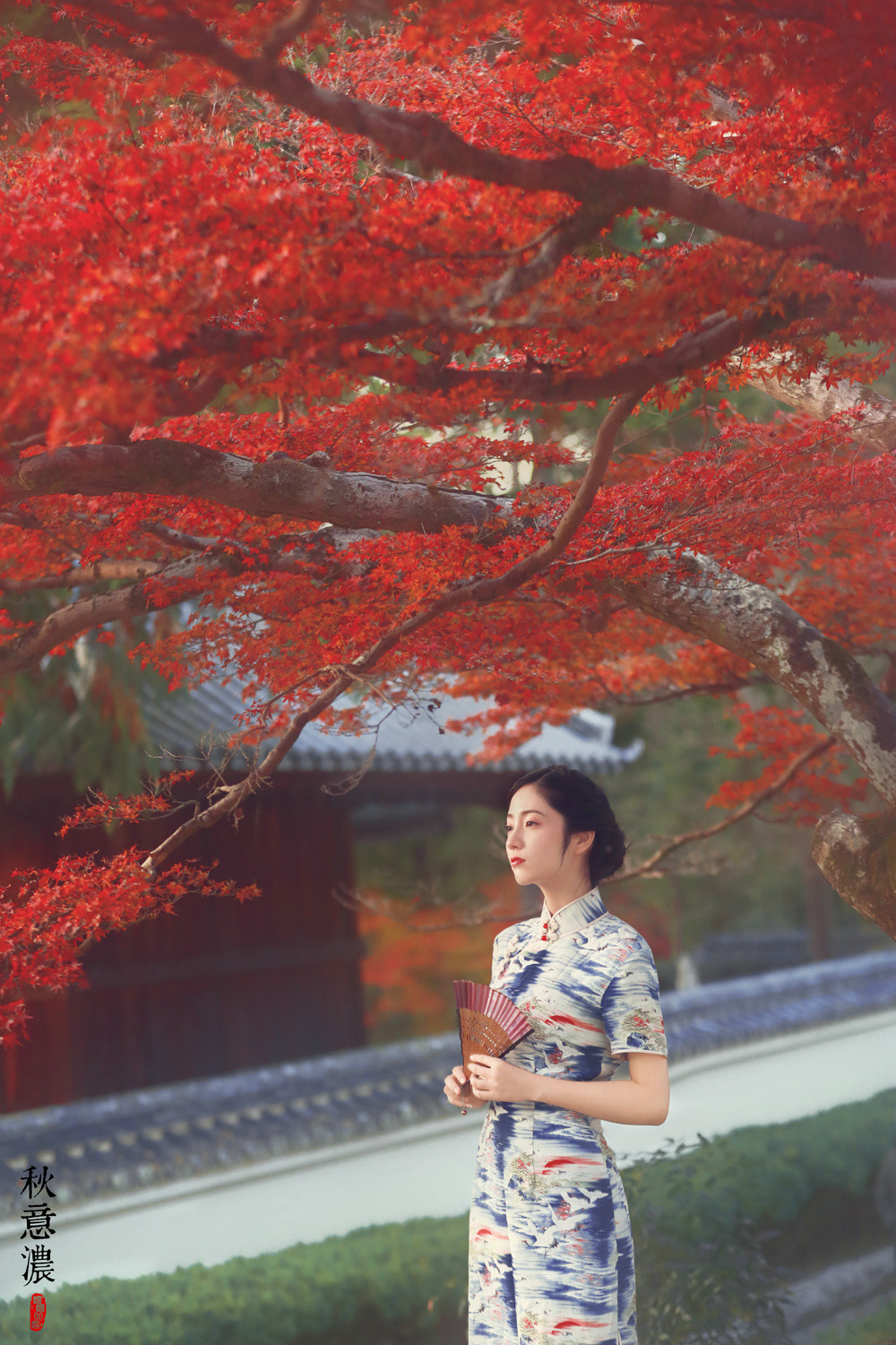 秋意濃·古裝旗袍人像攝影