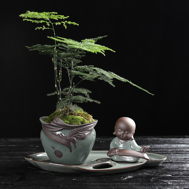 復(fù)古家佳樂文學(xué)文竹盆景，禪意小和尚盆景