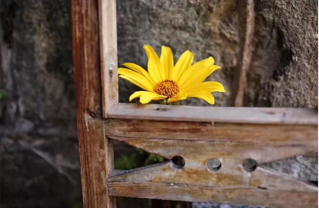 古山重水云間，細(xì)水長流吸引你