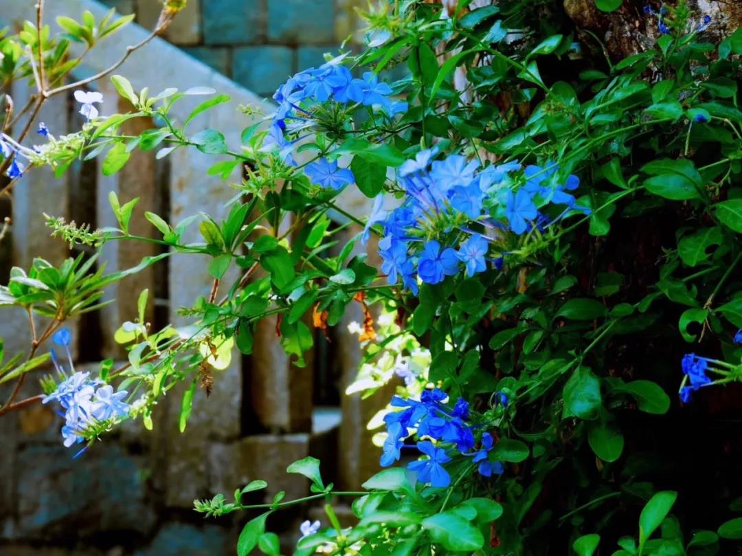 古山重水云間，細水長流吸引你