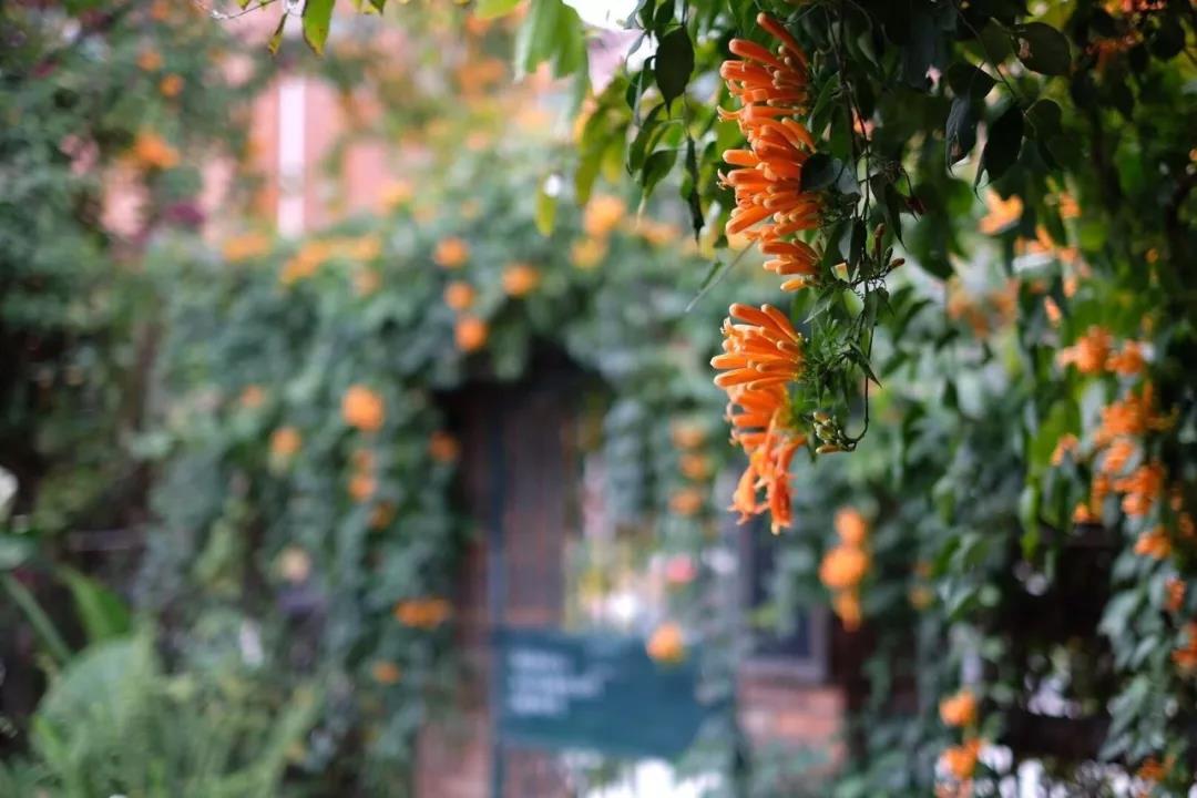 古山重水云間，細(xì)水長流吸引你