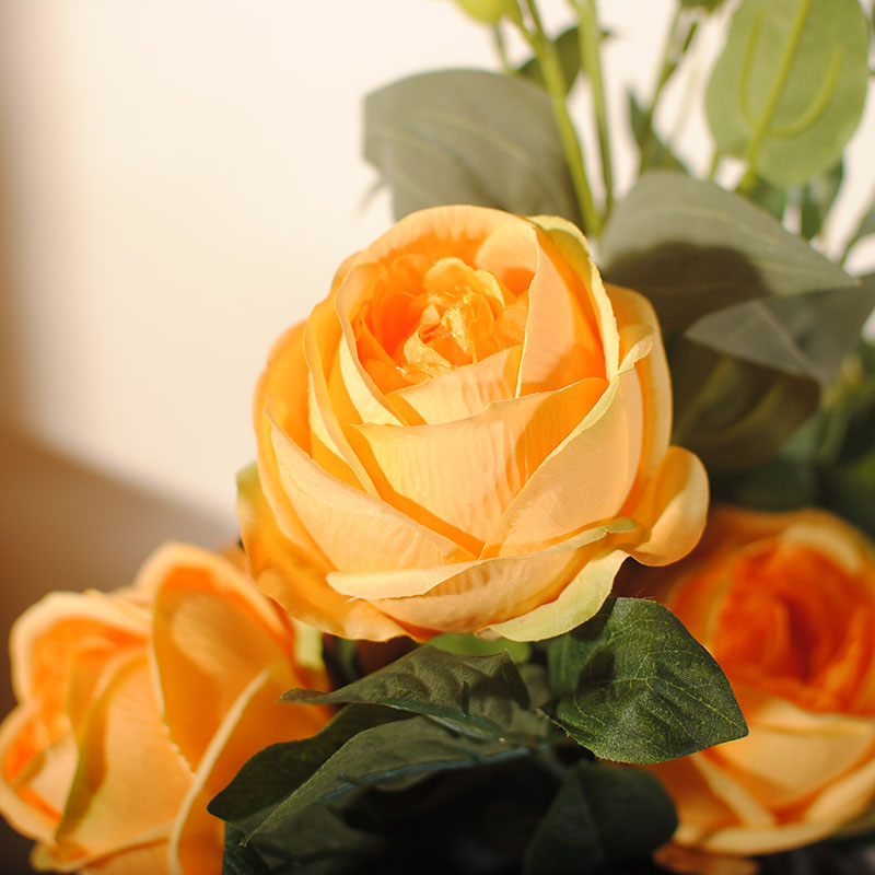 雍容牡丹桔梗插花藝術(shù)，富貴牡丹新中式花藝