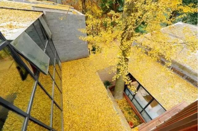 上山上去生活吧，上山上迎你還家！