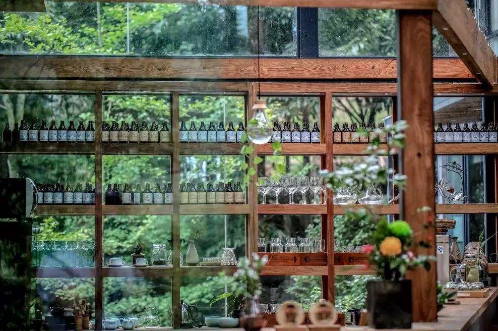 上山上去生活吧，上山上迎你還家！