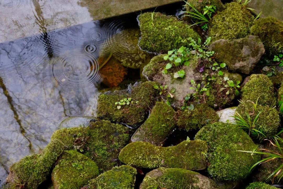 上山上去生活吧，上山上迎你還家！