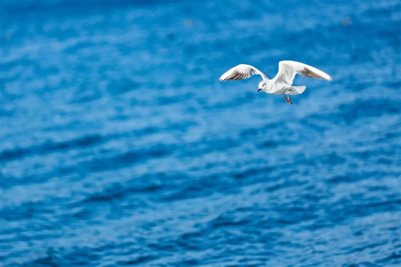 璞山云美·女兒國酒店，瀘沽湖的一場旅行！
