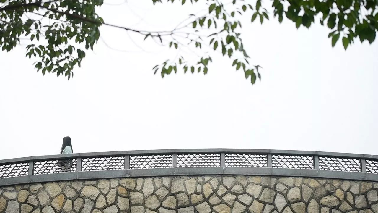 中香界·上海別院，萬水千山總是情！