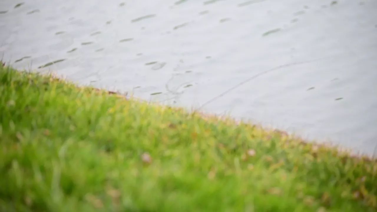 中香界·上海別院，萬水千山總是情！