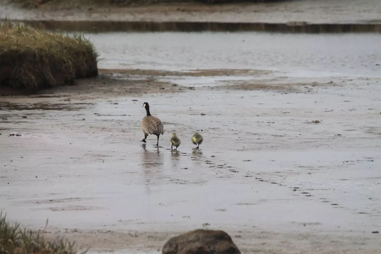 中香界·上海別院，萬水千山總是情！
