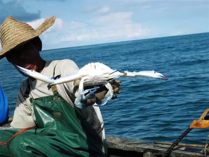 潿洲島·頤客潮宿，有一個夢面朝大海春暖花開