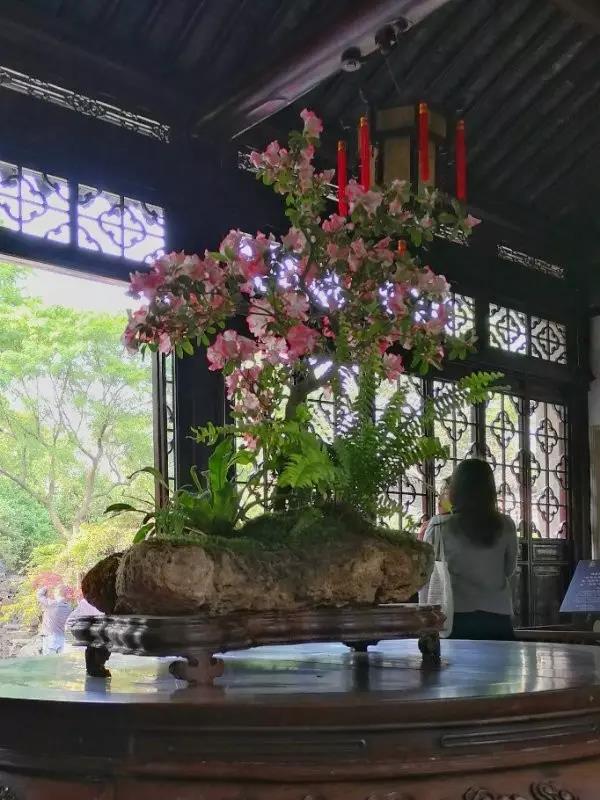 中國的四大名園，意想不到的風(fēng)景園林美!