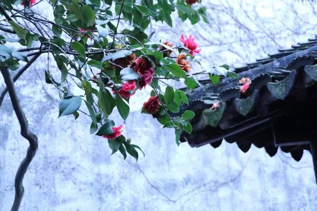 中國的四大名園，意想不到的風(fēng)景園林美!