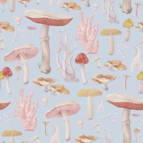 風(fēng)格獨特的插畫圖片，時尚清新色調(diào)手繪插畫