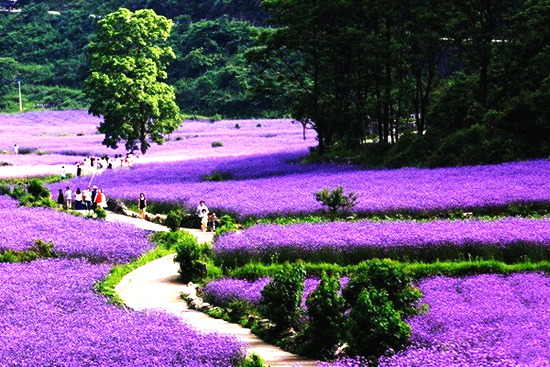 最美貴州風(fēng)景，用山水風(fēng)景點(diǎn)亮貴州文化！