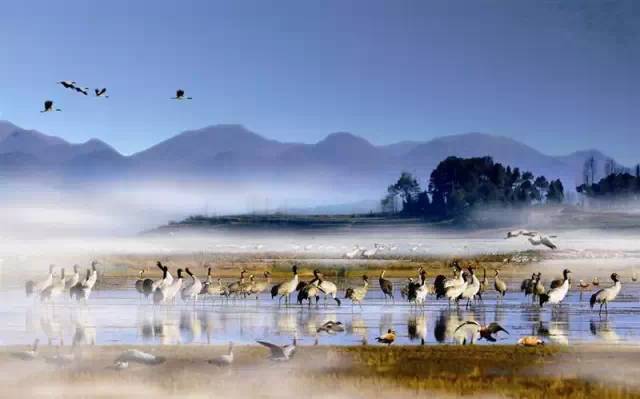 最美貴州風(fēng)景，用山水風(fēng)景點(diǎn)亮貴州文化！