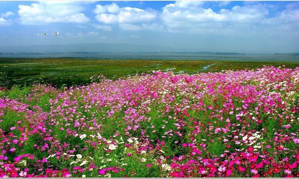 最美貴州風(fēng)景，用山水風(fēng)景點(diǎn)亮貴州文化！