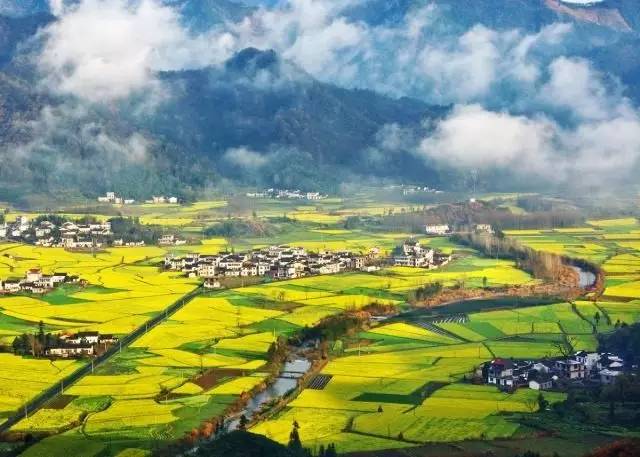 美到窒息的中國最美油菜花海，邂逅花海風(fēng)景！
