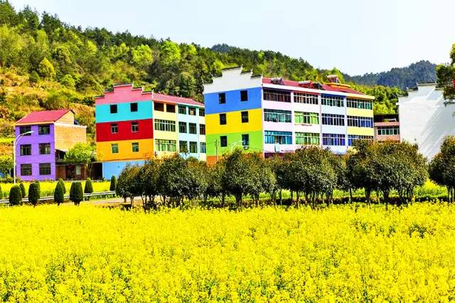 美到窒息的中國最美油菜花海，邂逅花海風(fēng)景！