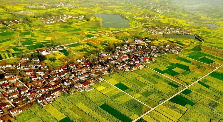 美到窒息的中國最美油菜花海，邂逅花海風(fēng)景！