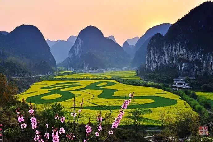 美到窒息的中國最美油菜花海，邂逅花海風景！