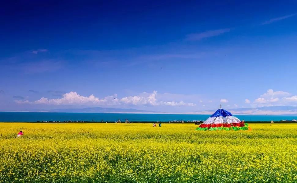美到窒息的中國最美油菜花海，邂逅花海風(fēng)景！
