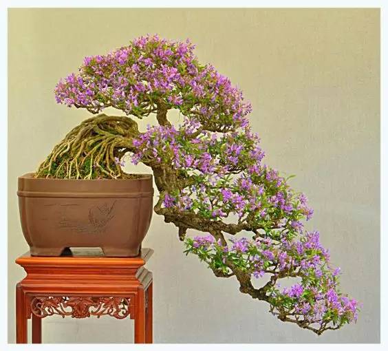 花香滿溢，唯美花藝設(shè)計！