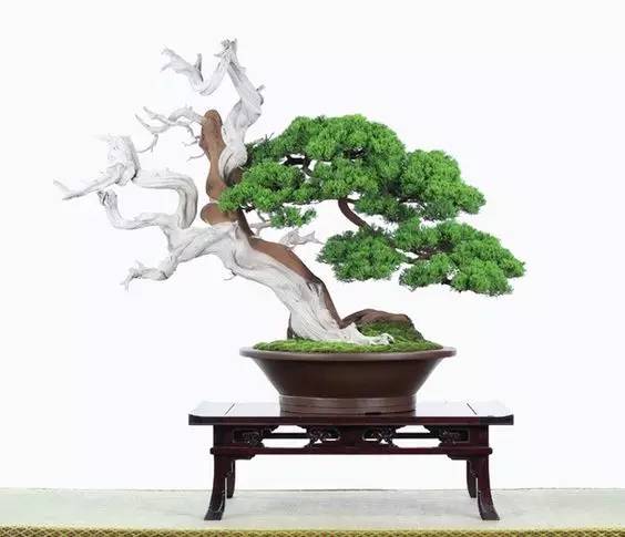 花香滿溢，唯美花藝設(shè)計！