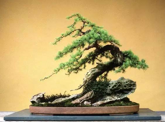 花香滿溢，唯美花藝設(shè)計(jì)！