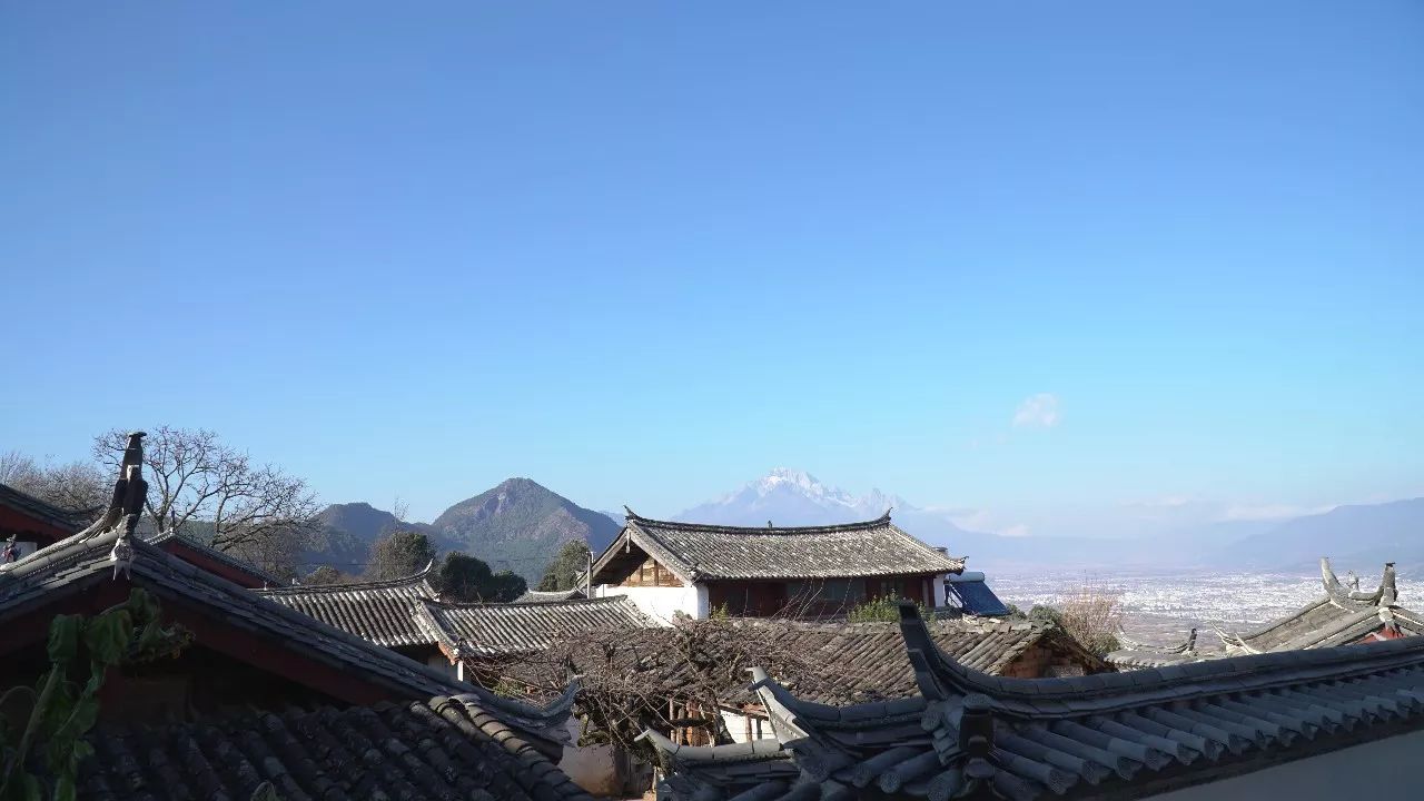 麗江·靈凈山舍，一花一木一世界！