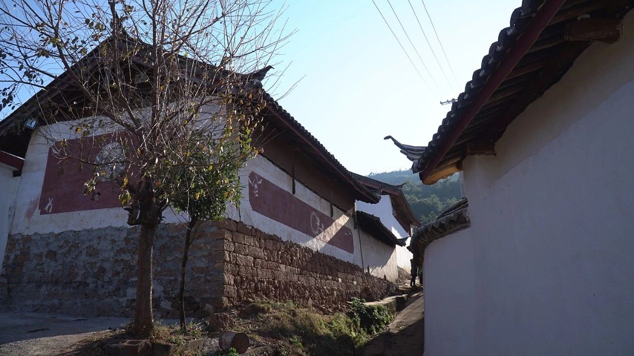 麗江·靈凈山舍，一花一木一世界！