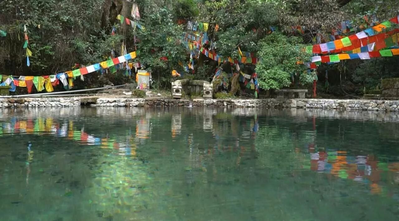 麗江·靈凈山舍，一花一木一世界！