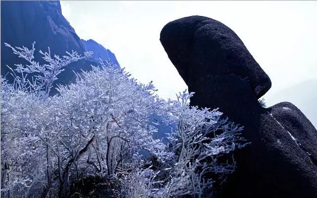 雪后黃山風(fēng)景宛如人間仙境，舞一曲雪中霓裳羽