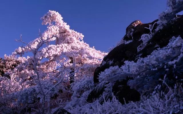 雪后黃山風(fēng)景宛如人間仙境，舞一曲雪中霓裳羽