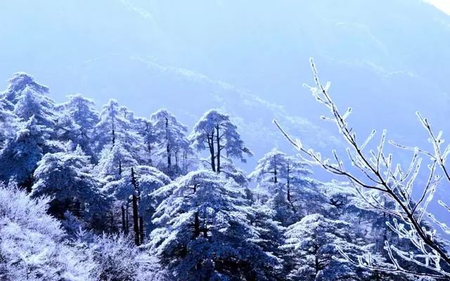 雪后黃山風(fēng)景宛如人間仙境，舞一曲雪中霓裳羽