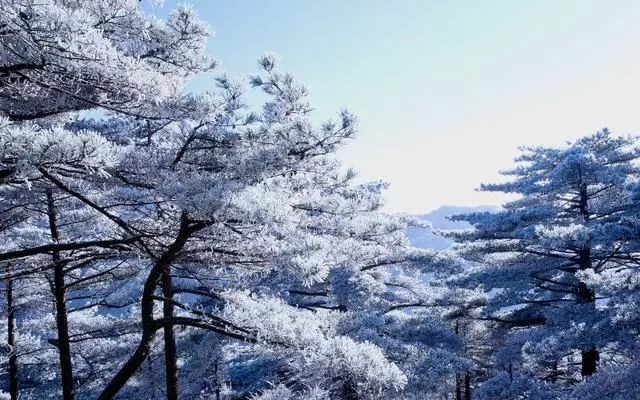 雪后黃山風(fēng)景宛如人間仙境，舞一曲雪中霓裳羽