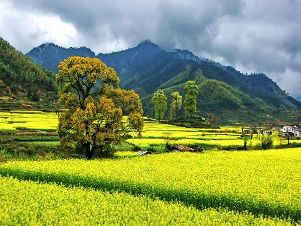 8處風(fēng)景如詩如畫，春天最值得去的地方！