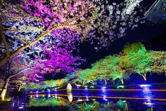 8處風(fēng)景如詩如畫，春天最值得去的地方！