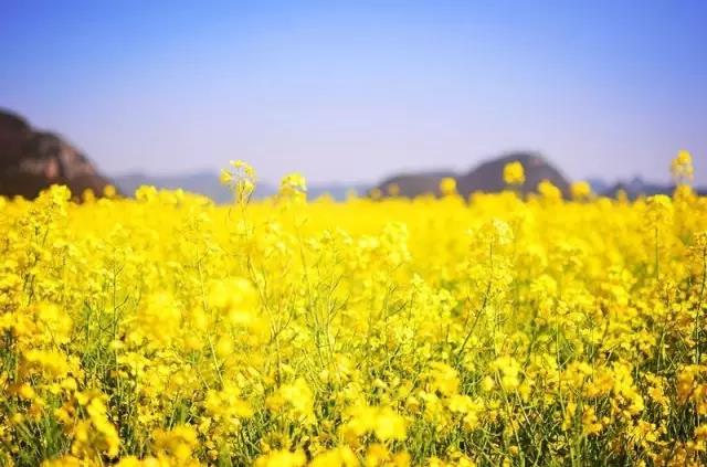 8處風(fēng)景如詩如畫，春天最值得去的地方！